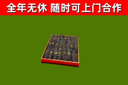 泗县回收海参